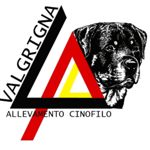 Coaching dog 6 lezioni (corso completo)